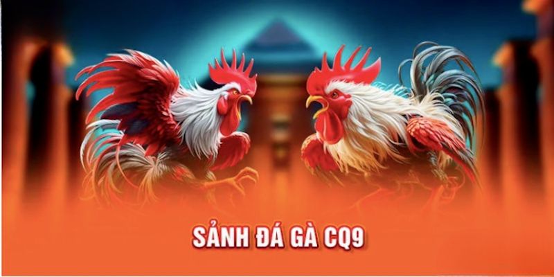 Sảnh Đá Gà CQ9