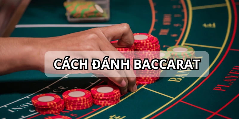 Cách chơi game Baccarat cực đơn giản cho những tay mơ