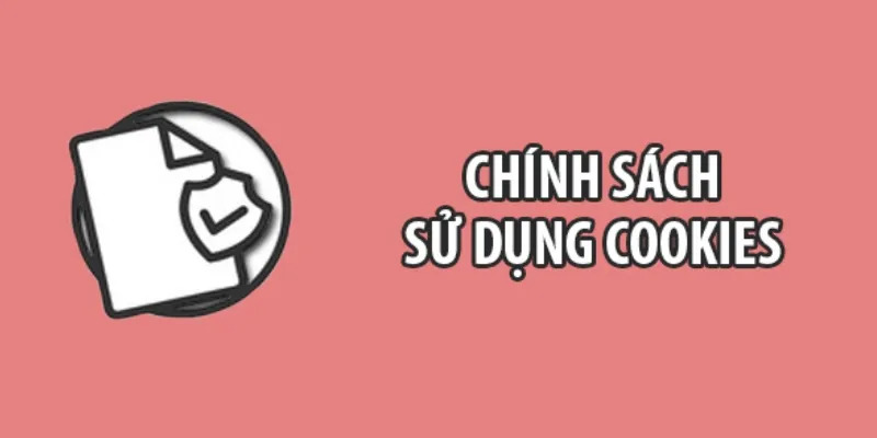 Nhằm cung cấp nhu cầu người dùng chuẩn xác