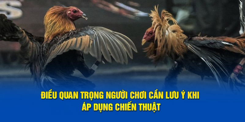 Điều quan trọng người chơi cần lưu ý khi áp dụng chiến thuật