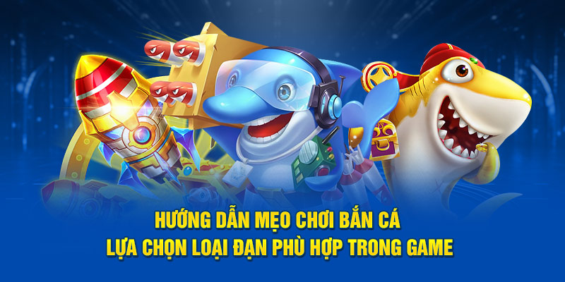 Hướng dẫn tham gia săn cá tại nhà cái cá cược