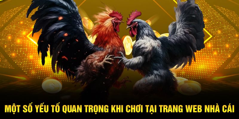 Một số yếu tố quan trọng khi chơi tại trang web nhà cái